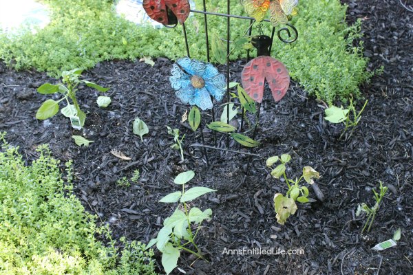 Spring Gardening. Spring planting, earth box planting, ground planting of fruits, vegetables and flowers for a wonderful and productive garden harvest.