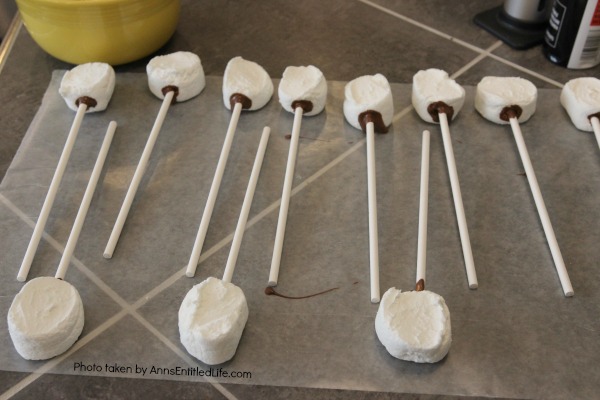 Easy S'mores Pops Recipe. You do not need a campfire to get the great taste of S'mores. Easy to make these delicious S'mores pops are made right in your kitchen in about 10 minutes. Great for parties and snacks, these fabulous S'mores Pops are a delightful treat the whole family will love!