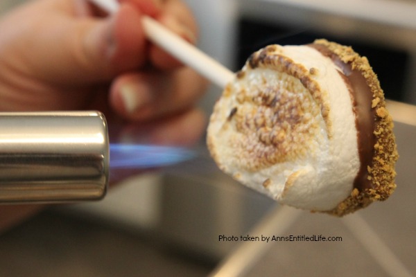 Easy S'mores Pops Recipe. You do not need a campfire to get the great taste of S'mores. Easy to make these delicious S'mores pops are made right in your kitchen in about 10 minutes. Great for parties and snacks, these fabulous S'mores Pops are a delightful treat the whole family will love!