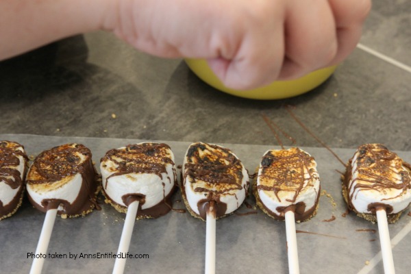 Easy S'mores Pops Recipe. You do not need a campfire to get the great taste of S'mores. Easy to make these delicious S'mores pops are made right in your kitchen in about 10 minutes. Great for parties and snacks, these fabulous S'mores Pops are a delightful treat the whole family will love!