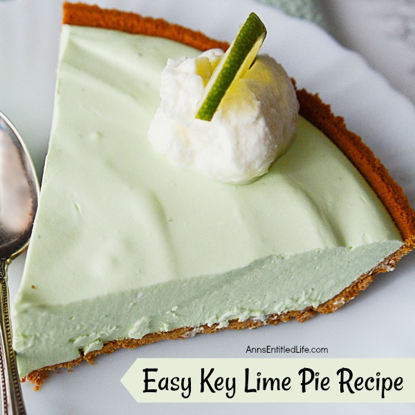 Easy Key Lime Pie Recipe. Enjoy the sweet-tart taste of key lime when you make this easy key lime pie recipe. This smooth and creamy pie comes together in minutes. Your family and friends will love this delicious dessert.