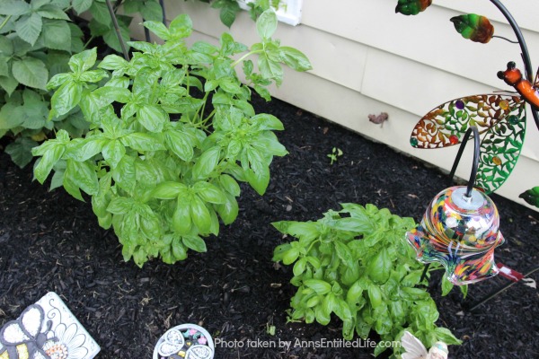 Summer Gardening. Summer gardening update of planted vegetables and flowers, hoping for a wonderful and productive garden harvest.