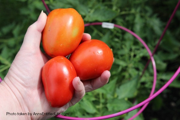 Summer Gardening. Summer gardening update of planted vegetables and flowers, hoping for a wonderful and productive garden harvest.