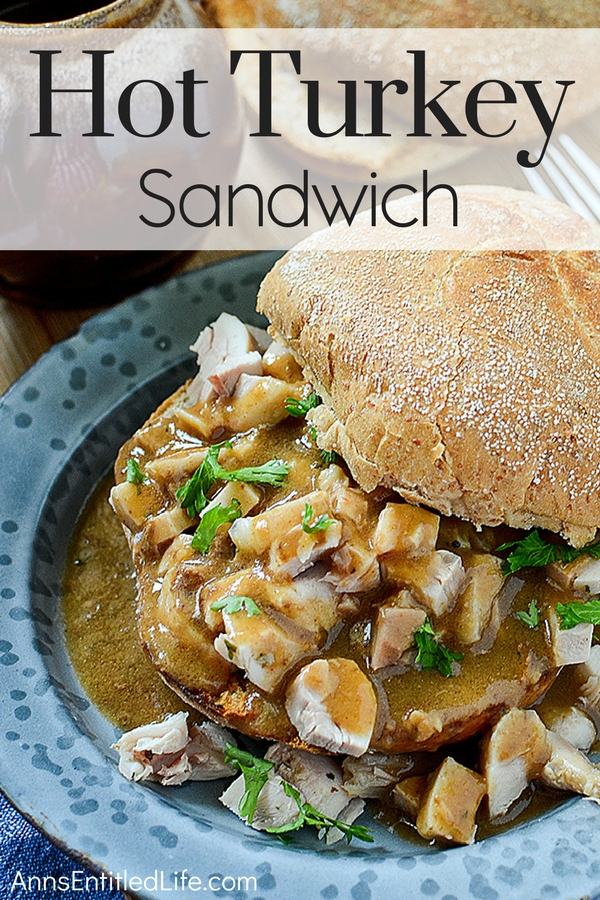 Turkey on a bun dripping with gravy set upon a blue plate. A turkey gravy server is in the upper left, a plate of leftover turkey in the upper right.