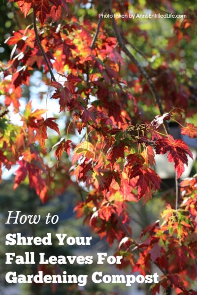 Shred Your Fall Leaves For Gardening Compost