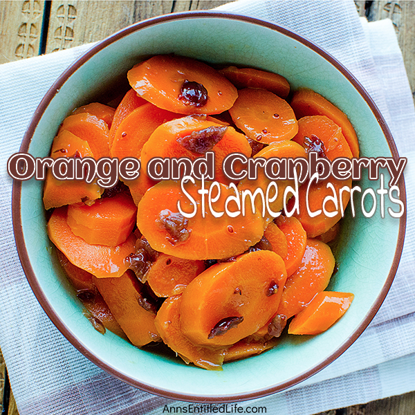 Orange and Cranberry Steamed Carrots Recipe. This simple-to-make side dish recipe dresses up fresh carrots to perfection. Whether you make it for the holidays or for a family dinner, this Orange and Cranberry Steamed Carrots Recipe pairs well with turkey, pork, chicken, and beef – a wonderful accompaniment to your dinner entrée!