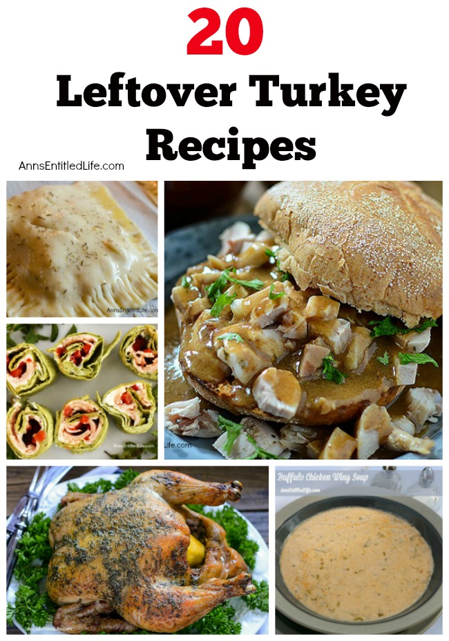 20 Turkey Leftovers Recipes. Turkey leftovers abound! Get these family friendly, kid friendly, lunch, dinner, and freezer turkey recipes your entire family will enjoy.