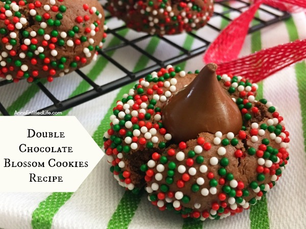 Double Chocolate Blossom Cookies Recipe