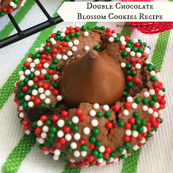 Double Chocolate Blossom Cookies Recipe. Twice the chocolaty goodness in these Double Chocolate Blossom Cookies! Update your holiday cookie recipes to include these easy to make, delicious, chocolate blossom cookies. Yum!