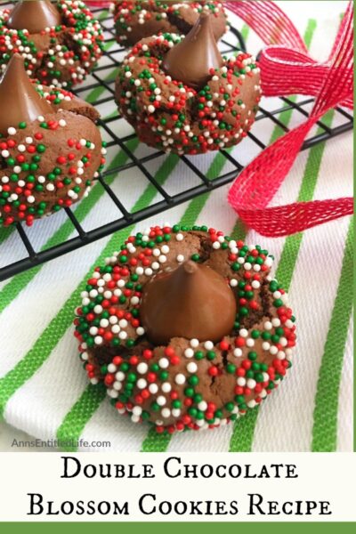 Double Chocolate Blossom Cookies Recipe