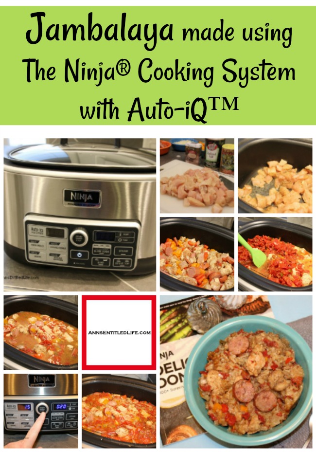 Ninja Cooking System: Features 