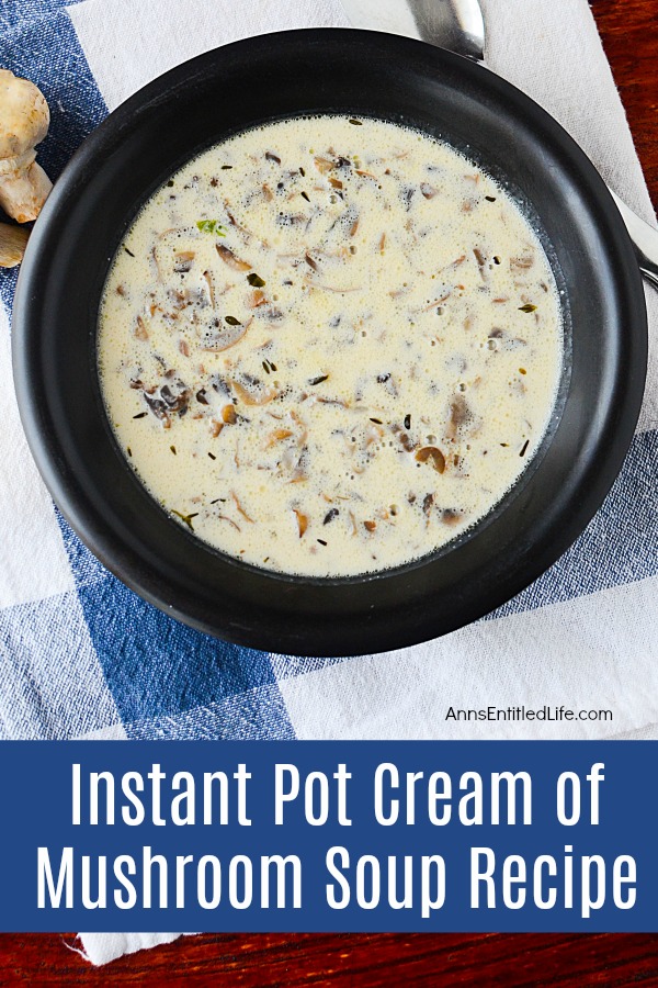 mushroom soup in a black bowl with a spoon on the side, on top of a blue checked cloth