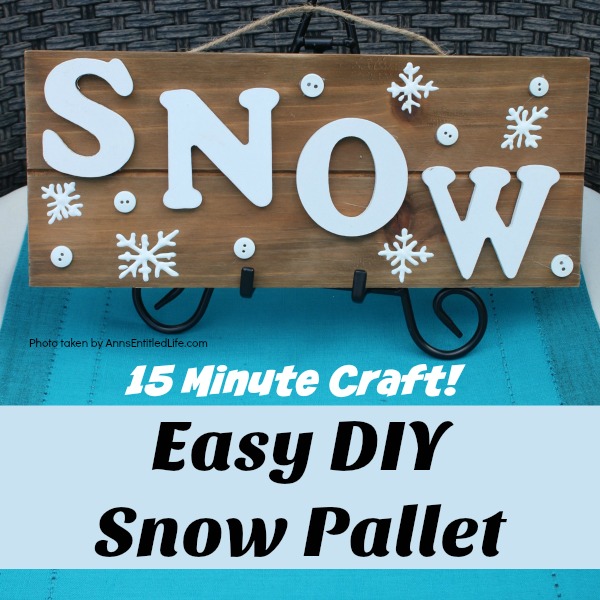 Easy DIY Snow Pallet. You can make this simple Snow pallet in about 15 minutes! A very easy winter craft that looks adorable on a tabletop easel or wall. Produce your own snow this winter!