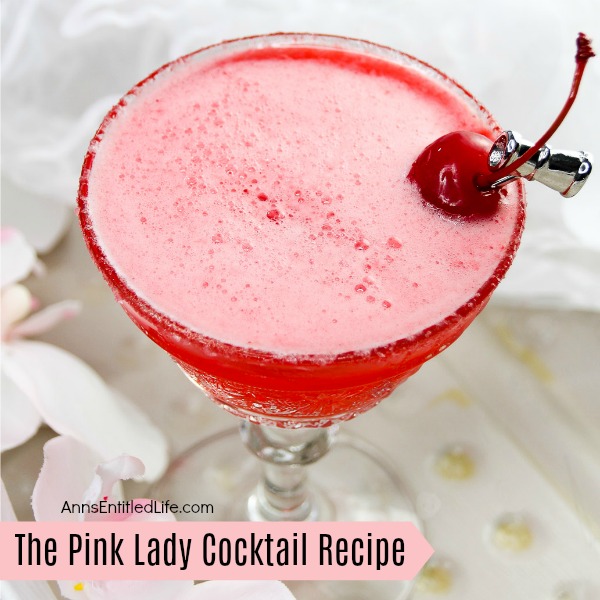 The Pink Lady Cocktail Recipe. The Pink Lady is a classic gin cocktail that gets its pink coloring from grenadine. The original girls-night-out cocktail!