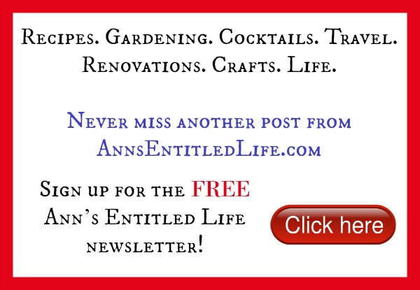 FREE Newsletter Sign Up For Ann's Entitled Life