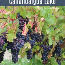 Wine Tasting On Canandaigua Lake