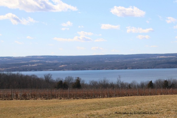 Estate Wineries on Seneca Lake