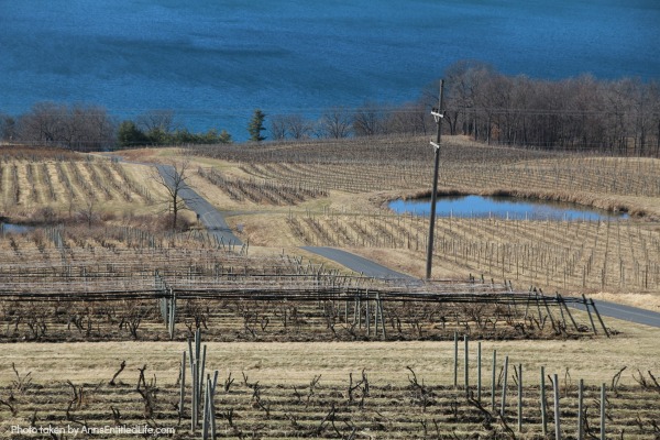 Estate Wineries on Seneca Lake