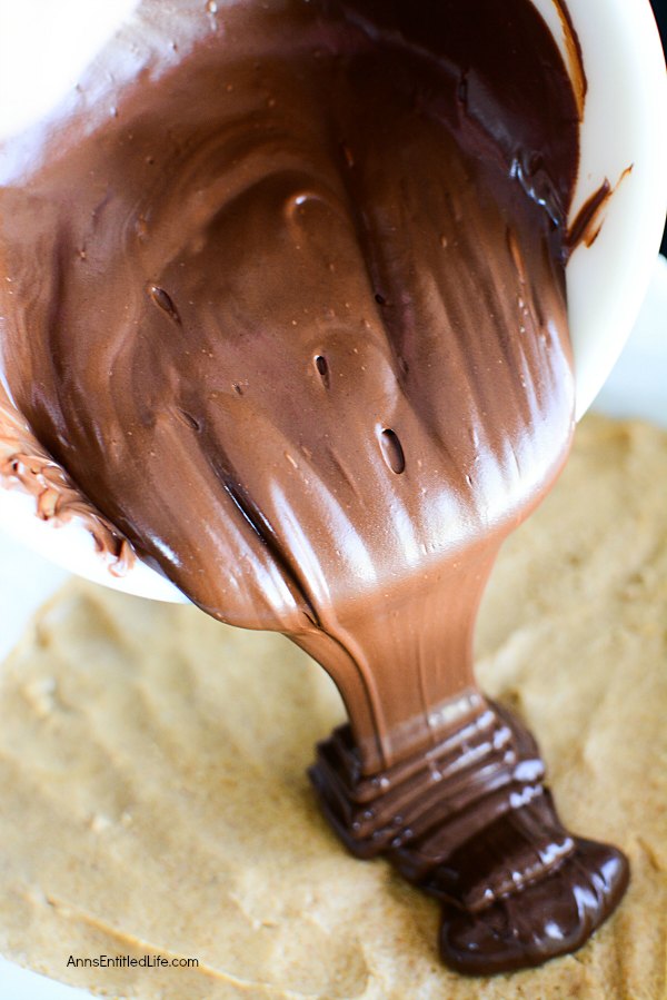 Chocolate Cashew Bars. A delicious, satisfying, chocolate cashew bar that holds up for days after you make them. These taste like chocolate bars, and are amazingly good! Cut them thick or thin, they are a great lunch-box, or anytime, snack.