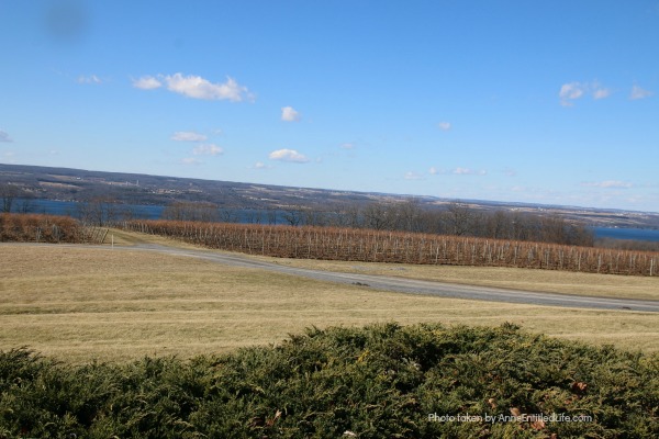 Estate Wineries on Seneca Lake