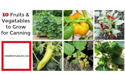 10 Fruits and Vegetables to Grow for Canning
