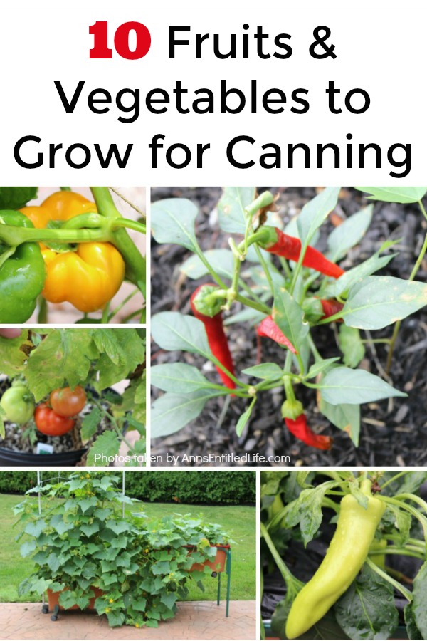 A collage of garden vegetables.