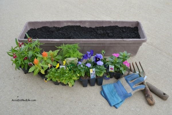 How to Make a Rainbow Flower Container Garden. Small space flower container gardening does not have to be boring. Create a beautiful rainbow flower container garden to sit on your patio, window box, or three-season room. This post gives step-by-step detailing what flowers to plant, and how to grow a beautiful rainbow flower container garden!