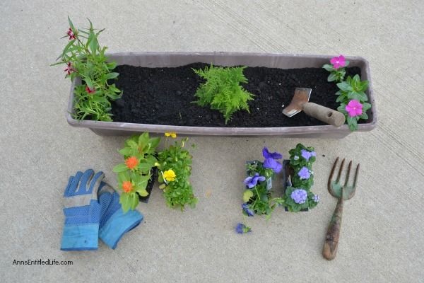 How to Make a Rainbow Flower Container Garden. Small space flower container gardening does not have to be boring. Create a beautiful rainbow flower container garden to sit on your patio, window box, or three-season room. This post gives step-by-step detailing what flowers to plant, and how to grow a beautiful rainbow flower container garden!