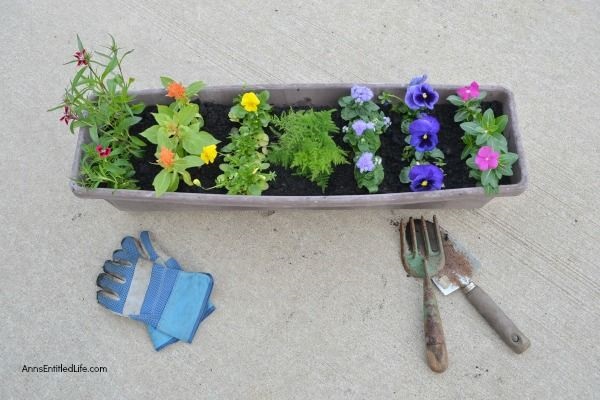 How to Make a Rainbow Flower Container Garden. Small space flower container gardening does not have to be boring. Create a beautiful rainbow flower container garden to sit on your patio, window box, or three-season room. This post gives step-by-step detailing what flowers to plant, and how to grow a beautiful rainbow flower container garden!