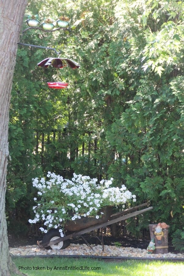 Spring Container Gardening. Experimenting with container gardening. Flowers.