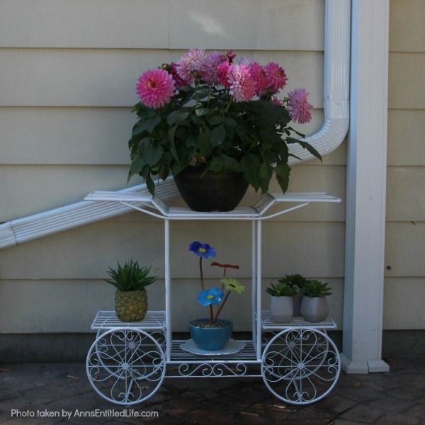 Spring Container Gardening. Experimenting with container gardening. Flowers.