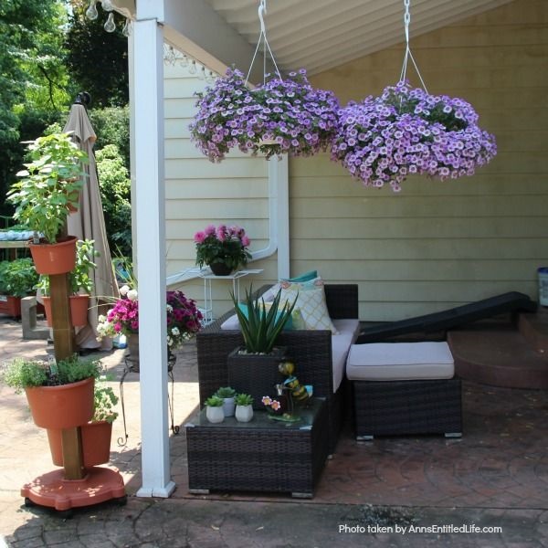 Spring Container Gardening. Experimenting with container gardening. Flowers.