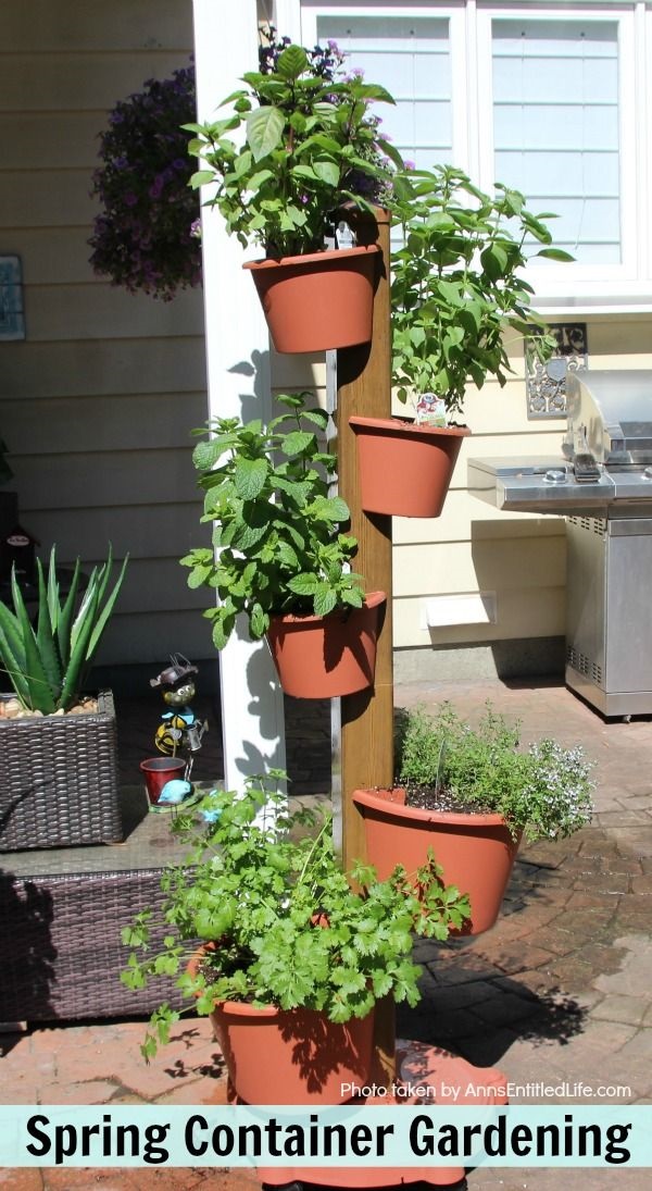 Single container vegetable garden