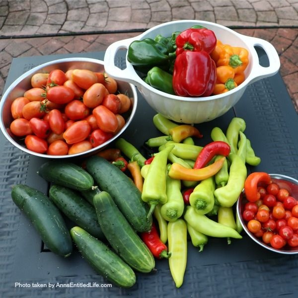 Container Garden Harvest. This is a post to recap my 2018 container gardening harvest including; what worked, what did not work, and what I will be trying again.