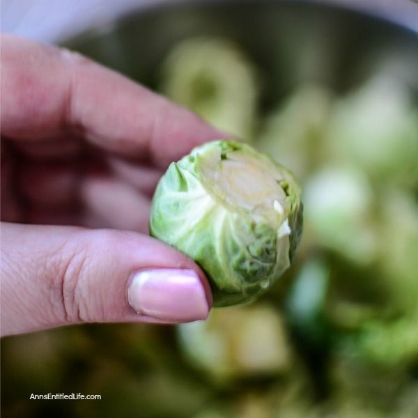 Leafy Brussels Sprouts with Bacon Recipe. If you enjoy Brussels sprouts, I bet you will love this easy to make leafy Brussels sprouts and bacon recipe. Easy to make, this delicious Brussels sprouts recipe comes together quickly and easily for a perfect fall/winter side dish. This pairs well with chicken, pork, turkey, or ham! Simply a fantastic autumn side dish recipe the entire family will enjoy.