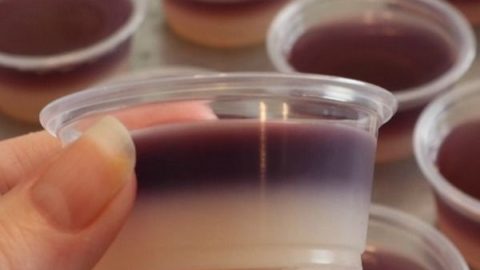 Peanut Butter and Jelly Jello Shots Recipe