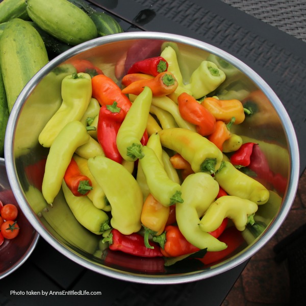 Container Garden Harvest. This is a post to recap my 2018 container gardening harvest including; what worked, what did not work, and what I will be trying again.