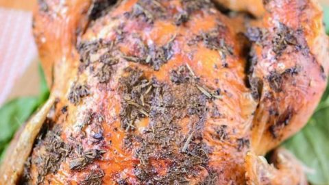 Easy Oven Roasted Turkey Recipe