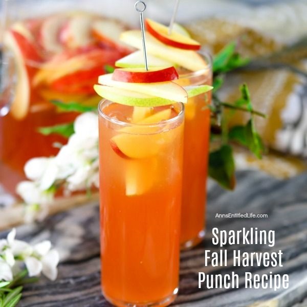 Harvest Punch Recipe