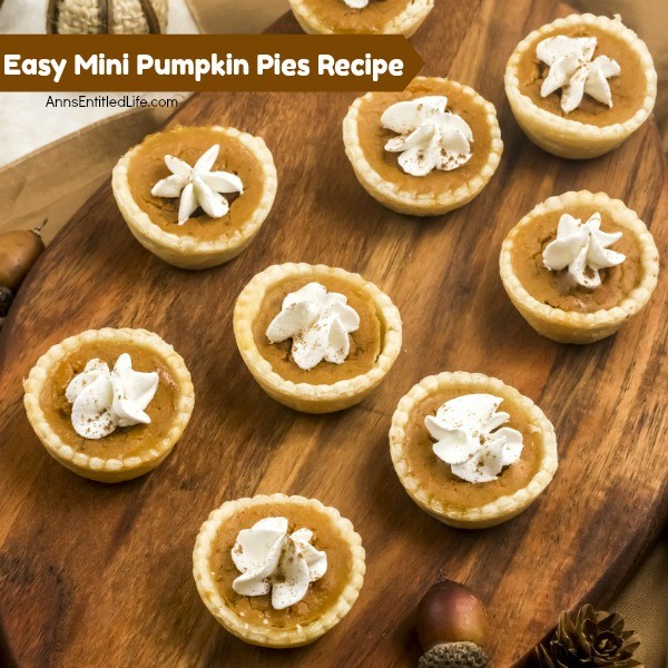 These sweet little mini pumpkin pies are just so simple to make! If you are searching for a delicious bite-sized holiday dessert, these individual pumpkin pie bites are sure to impress your family and friends. Only you will know how easy they were to prepare.