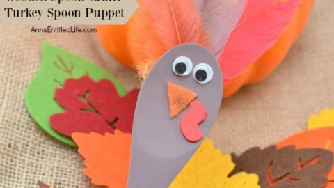 Wooden Spoon Craft: Turkey Spoon Puppet