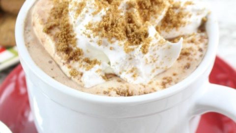 Gingersnap Hot Cocoa Recipe
