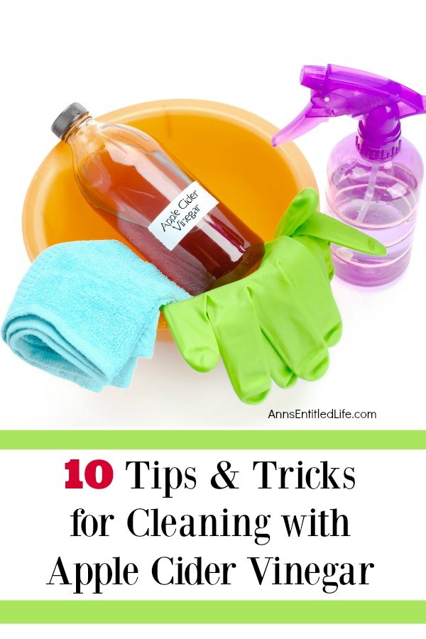 An orange cleaning bucket with cleaning gloves hanging on it, a bottle to the right, and a bottle of apple cider vinegar inside on a white background.