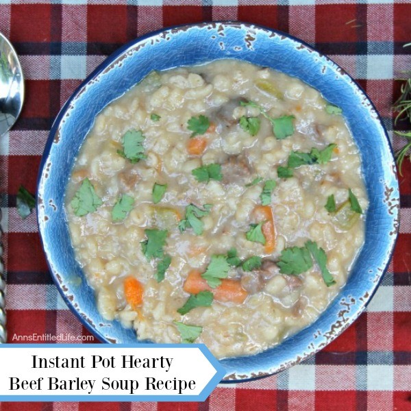 Instant Pot Hearty Beef Barley Soup Recipe. Beef barley soup is the ultimate comfort food! This hearty beef barley soup recipe is loaded with beef and vegetables, so thick and delicious it will remind you of grandma's recipe. Perfect for lunch or dinner, this instant pot beef barley soup is fantastic on a cold day.
