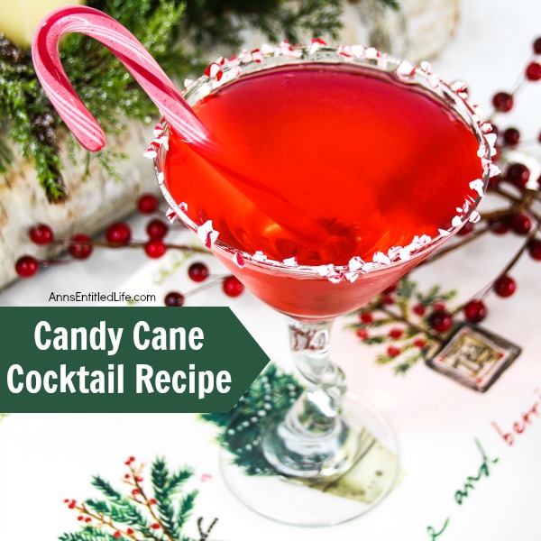 Candy Cane Cocktail. The Candy Cane Cocktail is refreshing adult beverage made with Whipped Cream Vodka, Peppermint Schnapps and Crème de Cacao. A cool, refreshing and festive holiday cocktail drink recipe.