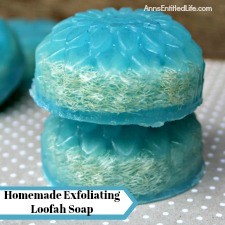 Homemade Exfoliating Loofah Soap