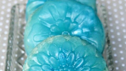 Homemade Exfoliating Loofah Soap