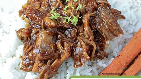 Slow Cooker Recipe: Root Beer Barbecue Pulled Pork