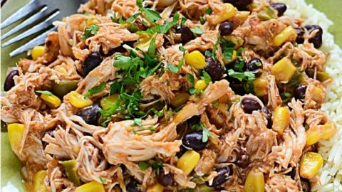 Slow Cooker Recipe: Tex-Mex Chicken Stew