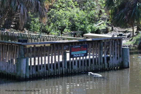 St. Augustine Alligator Farm. Hubby and I went to the St. Augustine Alligator Farm Zoological Park a few weeks ago. This is my review of the St. Augustine Alligator Farm Zoological Park, as well as photographs and tidbits of information about the zoo.